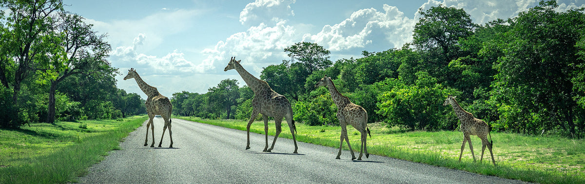 Spedizione Namibia 2025